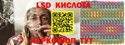 индика Кандалакша