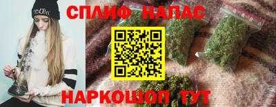 индика Кандалакша