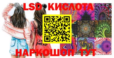 индика Кандалакша
